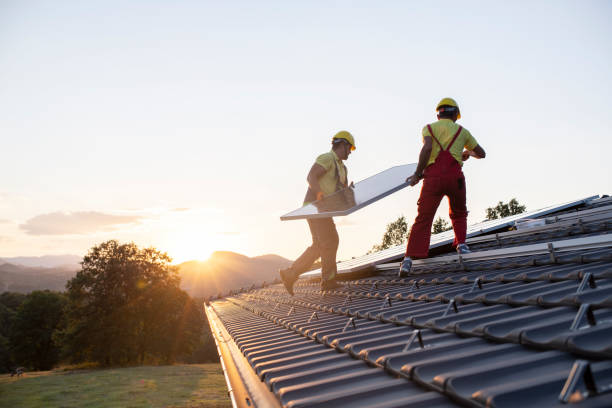 Best Skylight Installation and Repair  in Meridian, MS