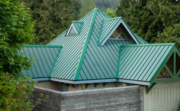 Best Sheet Metal Roofing  in Meridian, MS