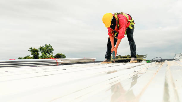 Best Roof Maintenance and Cleaning  in Meridian, MS