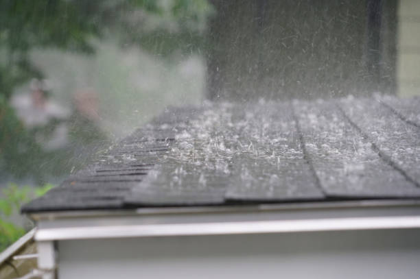 Best Emergency Roof Repair Services  in Meridian, MS