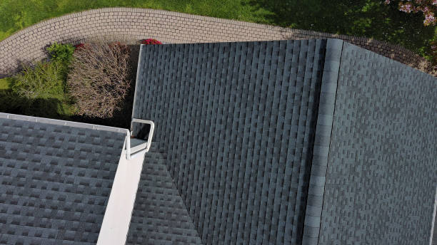 Best Chimney Flashing Repair  in Meridian, MS