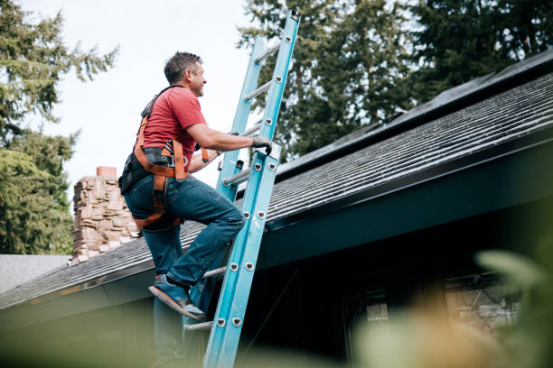 Emergency Roof Repair in Meridian, MS