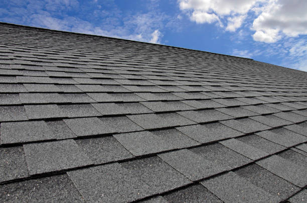 Best Roof Ventilation Installation  in Meridian, MS