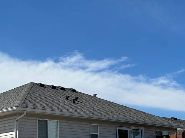 Roof Coating Services in Meridian, MS